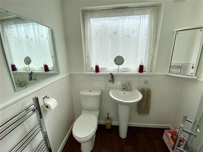Picture 11